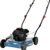 SENIX Gas Lawn Mower, 20-Inch, 125 cc 4-Cycle Briggs & Stratton Engine, Push Lawnmower