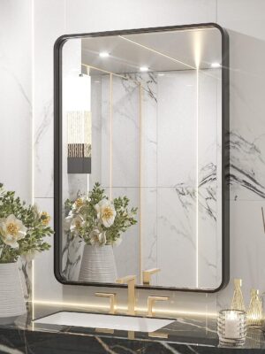 TETOTE Black Framed Mirrors for Bathroom, 22x30 Inch Brushed Metal Frame Wall Mounted Mirror