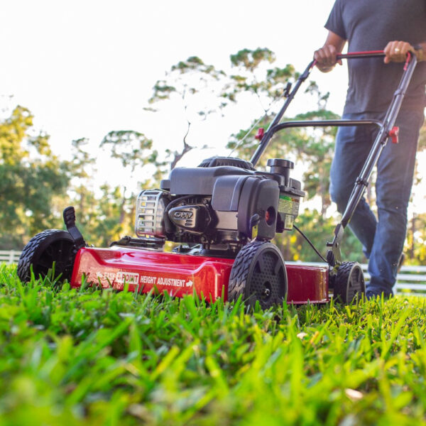 5711c09cfd4140f8b605dccd7b81a19e-1 20-Inch 125Cc Gas Push Mower with Briggs & Stratton Engine