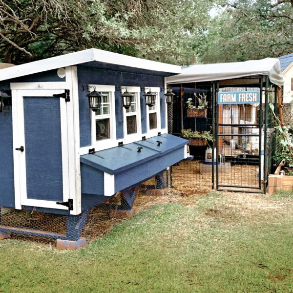 78a086e6e32f49bba47290e6648522a1 OverEZ Chicken Coop – X-Large