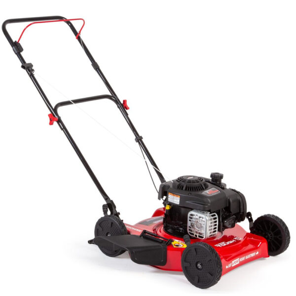 78ad8dd8656548d7b3a153f352b9faae 20-Inch 125Cc Gas Push Mower with Briggs & Stratton Engine