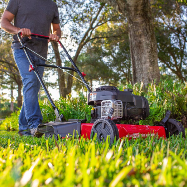 8018fe4c6f7040a993f8d075214711d7 20-Inch 125Cc Gas Push Mower with Briggs & Stratton Engine
