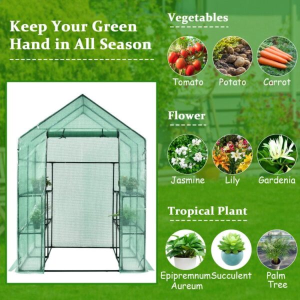 9199c13f0e3f43f4850602ada0121a43 Premium 56-Inch Walk-In Large Garden Greenhouse W/ Observation Windows