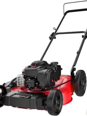 21" 2-in-1 Push Lawn Mower, 125cc Engine, Adjustable Cutting Height, Lightweight, Easy Assembly