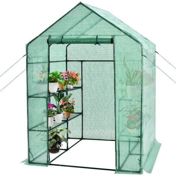 bdc5e45c4a2d48adb694bd193275f8c9 Premium 56-Inch Walk-In Large Garden Greenhouse W/ Observation Windows