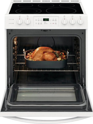 30 in. 5.0 cu. ft. Single Oven �� White with NVS Black Glass