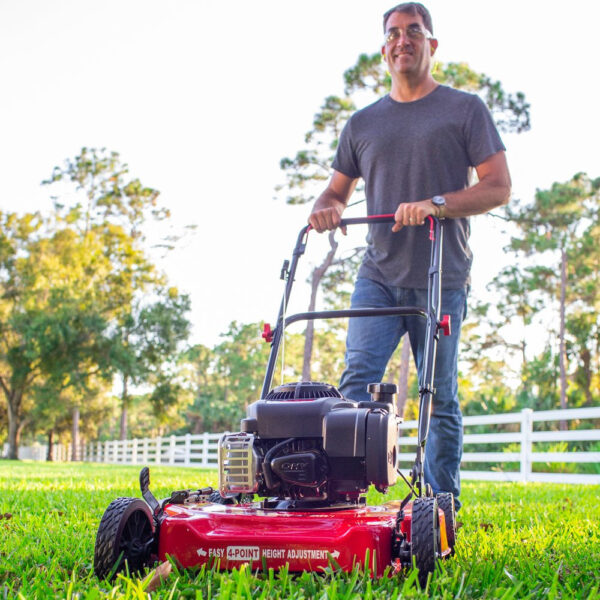 ec5721833fd94e61adbae725e2c5fb39 20-Inch 125Cc Gas Push Mower with Briggs & Stratton Engine
